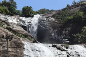 unnamed - 2025-09-24T103500.099