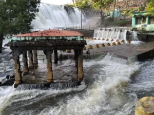 unnamed - 2025-09-24T103510.667